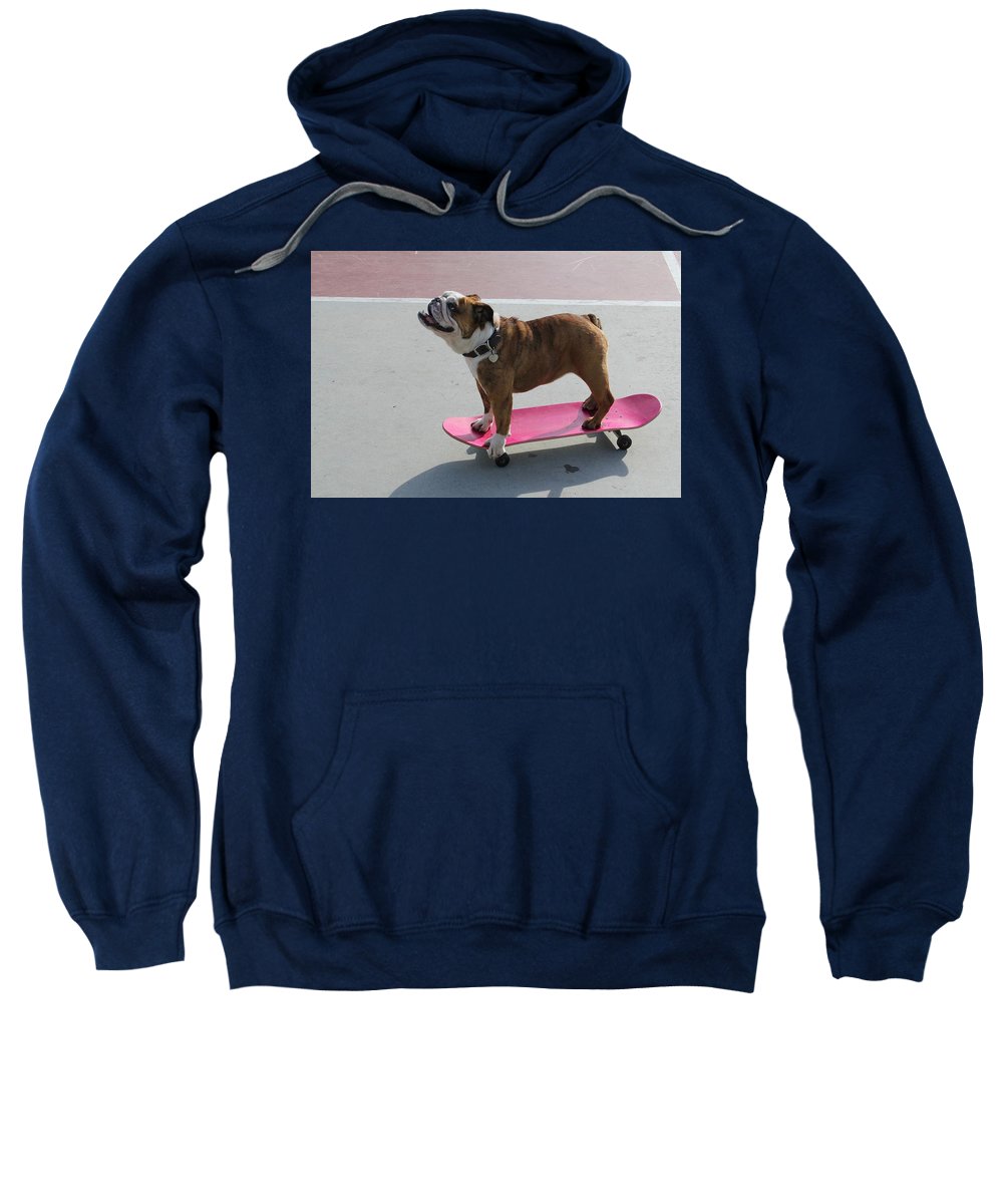 Dog - Sweatshirt